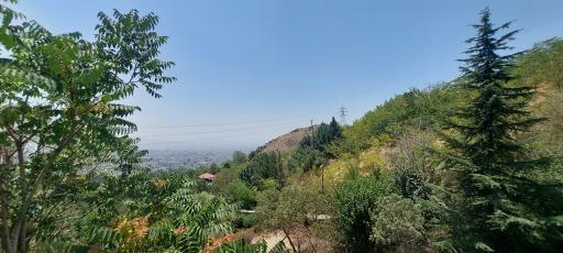 دریاچه پارک جمشیدیه