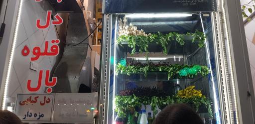 عکس جگر سرای بلوار