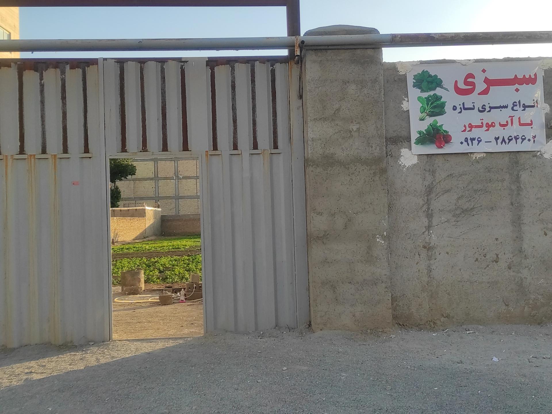 عکس سبزی با آب چاه