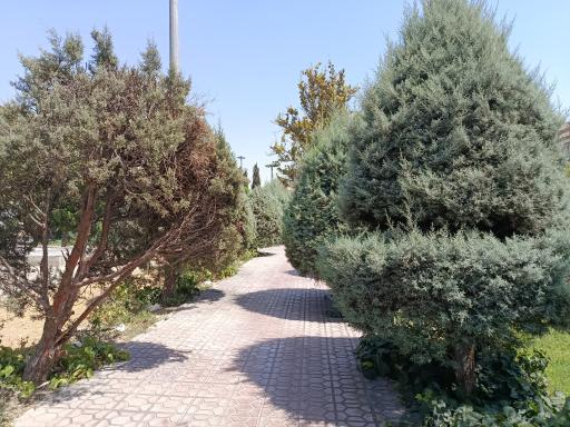 عکس بوستان احسان