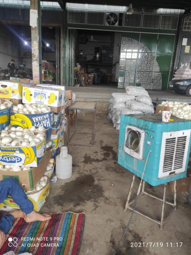 عکس بارفروشی محمد بختیاری