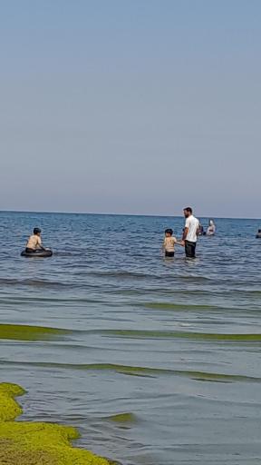 عکس ساحل زیبای رامسر 
