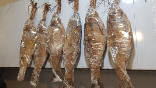 عکس پروتئین شایان