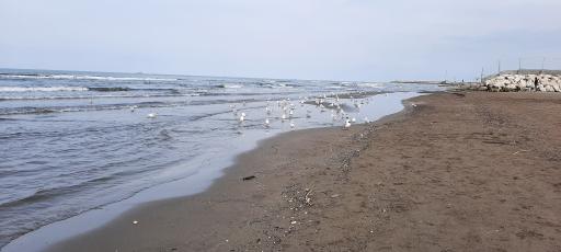 عکس مجموعه ورزشهای آبی سیترا (پلاژ حسینی)