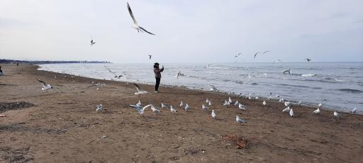 عکس مجموعه ورزشهای آبی سیترا (پلاژ حسینی)