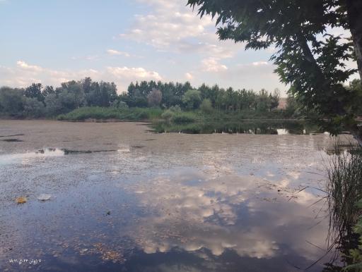 عکس باشگاه قایقرانی قدس ذوب آهن