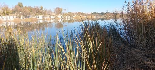 عکس باشگاه قایقرانی قدس ذوب آهن