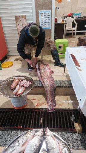 عکس بازار بزرگ ماهی فروشان بندر انزلی