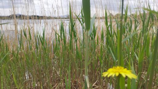 عکس باشگاه قایقرانی قدس ذوب آهن