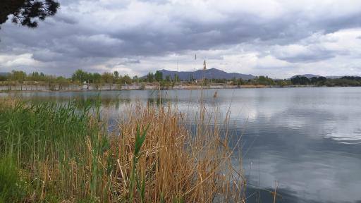 عکس باشگاه قایقرانی قدس ذوب آهن