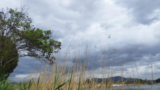 عکس باشگاه قایقرانی قدس ذوب آهن