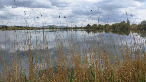 عکس باشگاه قایقرانی قدس ذوب آهن