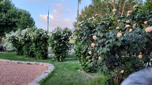 عکس باشگاه قایقرانی قدس ذوب آهن