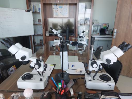 گوهرشناسی امید  HGL