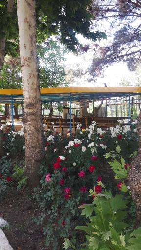 عکس باشگاه قایقرانی قدس ذوب آهن