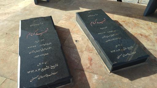 عکس شهدای گمنام شهرستان داورزن