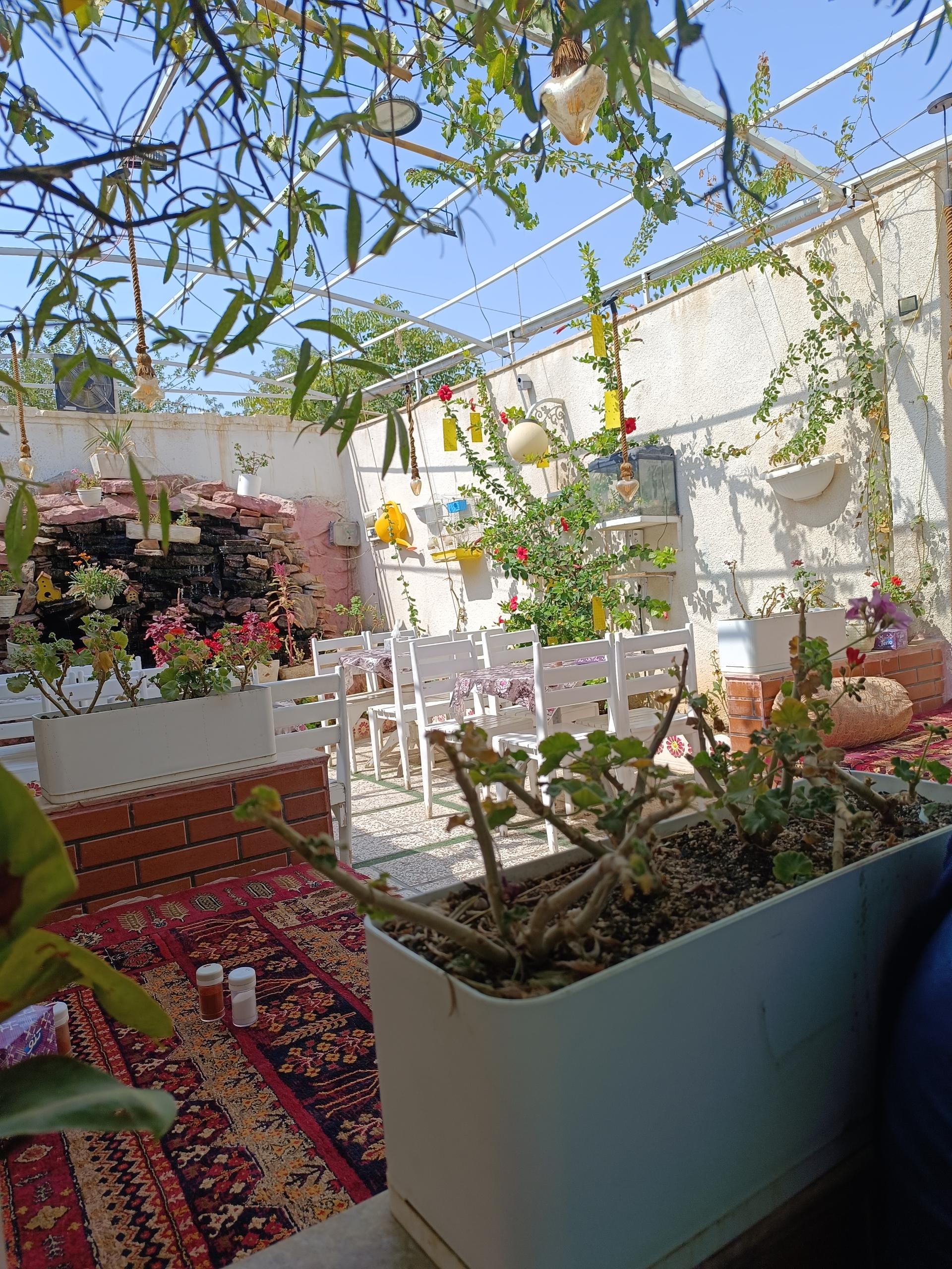 عکس جگر و کباب گوسفندی امید (مپلو)