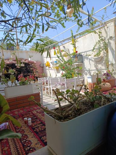 عکس جگر و کباب گوسفندی امید (مپلو)