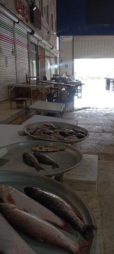 عکس بازار بزرگ ماهی فروشان بندر انزلی