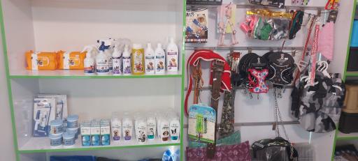 عکس کلینیک دامپزشکی آدورا