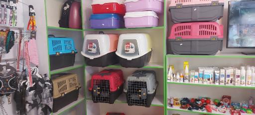 عکس کلینیک دامپزشکی آدورا