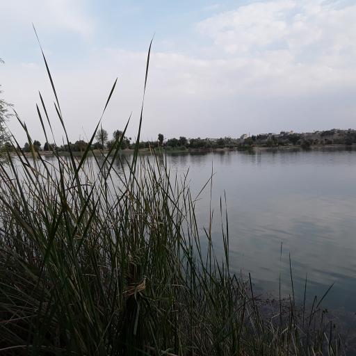 عکس باشگاه قایقرانی قدس ذوب آهن