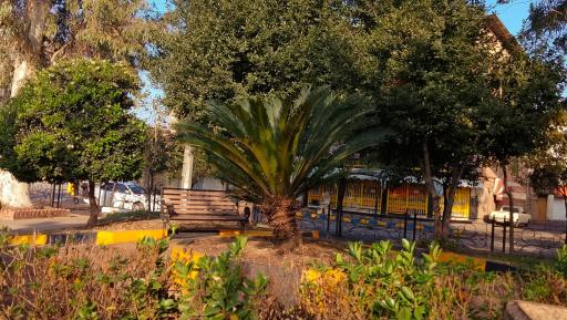 عکس پارک قائم