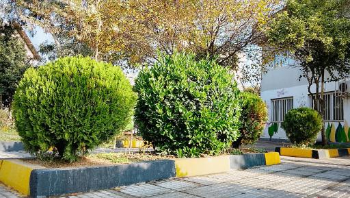 عکس پارک قائم