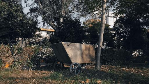 عکس پارک قائم