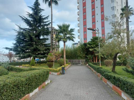 عکس پارک جوان