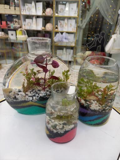 عکس فروشگاه بله برون فرخنده