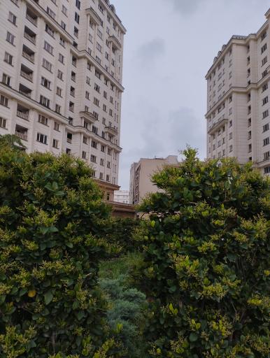 عکس برج برلیان۲