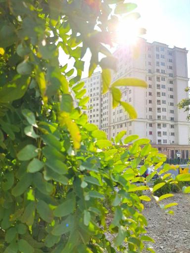 برج برلیان۲