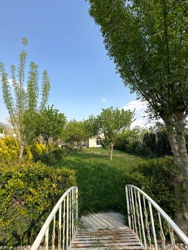 عکس آتلیه عکس چشمان آبی