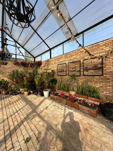 آتلیه عکس چشمان آبی