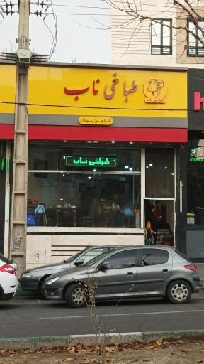 عکس طباخی ناب