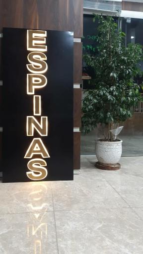 عکس املاک اسپیناس