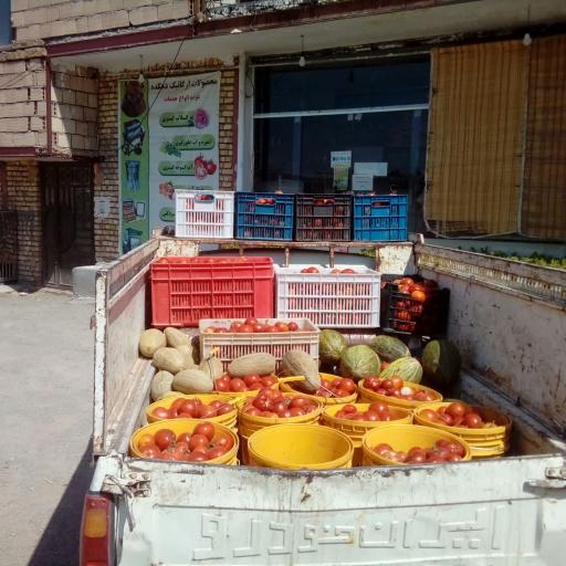 عکس محصولات ارگانیک دهکده 