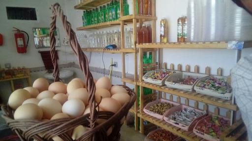 عکس محصولات ارگانیک دهکده 