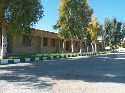 عکس دانشگاه فنی و مهندسی باهنر شیراز