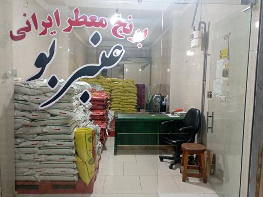 عکس پخش برنج عنبربو مزرعه سبز طاها