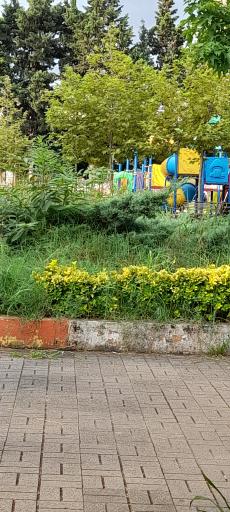 عکس پارک جوان