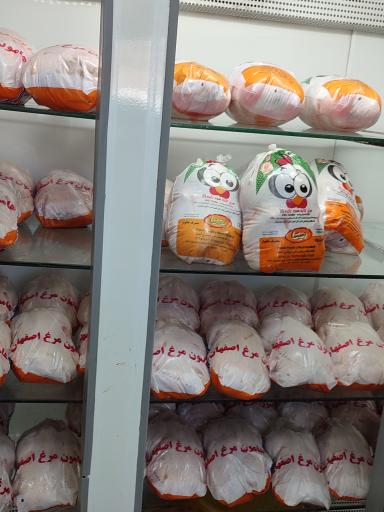 عکس مرغ و ماهی نگین