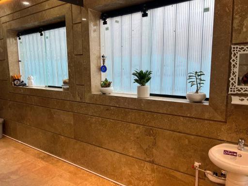 عکس کافه صبحانه نعنا