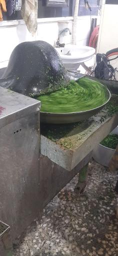 عکس سبزی خرد کنی بهار گلبستان 