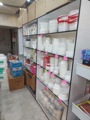 ظروف یکبار مصرف شهر