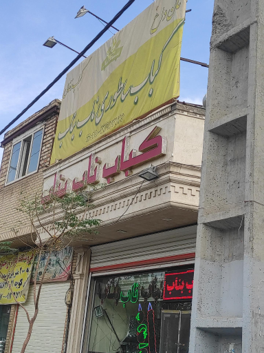 عکس کباب ناب بناب