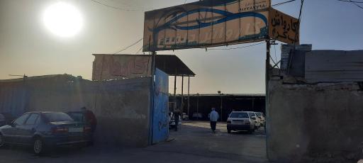 عکس کارواش دلفین