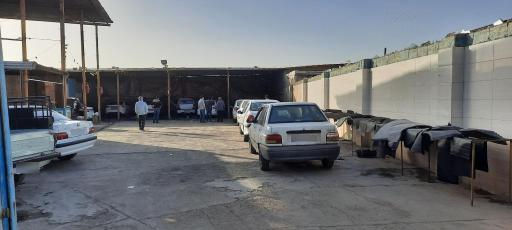 عکس کارواش دلفین