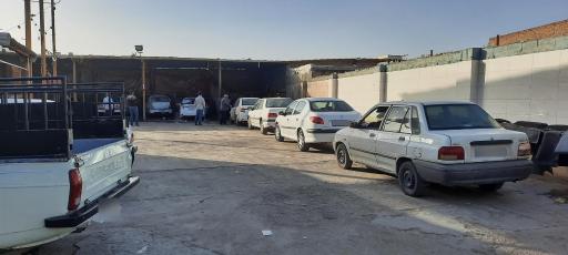 عکس کارواش دلفین